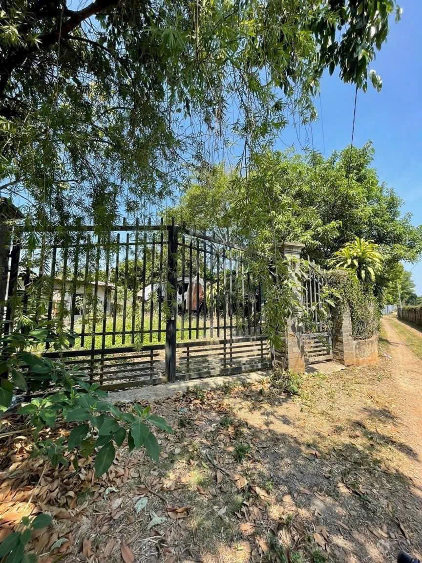 Đất mặt tiền Quốc lộ 20 Kim Thượng - Kinh doanh sôi động